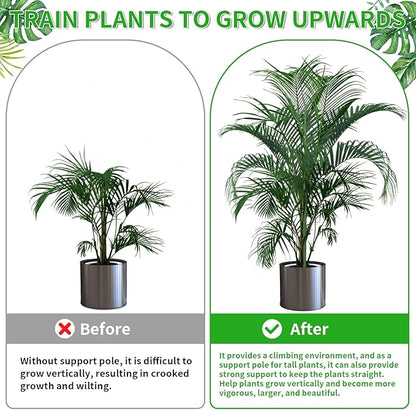 6 Pack 27.56" Detachable Twig Plant Support Stakes Set, Blends in to Plant, Branch Plant Sticks with Orchid Clips Twist Plant Ties, Twig Trellis for Indoor Outdoor Plants Potted Plants Flower