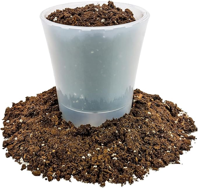 GARDENERA Money Tree Potting Soil Mix for Planting or Repotting Guiana Chestnut, Soil Blended to Properly Grow Money Tree Plants (3 Quart Bag)