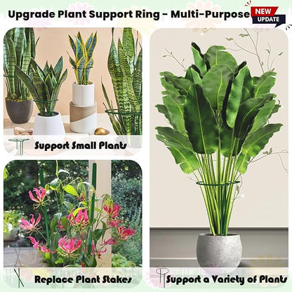 10-Pack Adjustable Height Snake Plant Support Stakes- Sturdy, Rust-Resistant Plant Supports for Indoor and Outdoor Potted Plants (16x10Inch) - Flower and Garden Peony Support