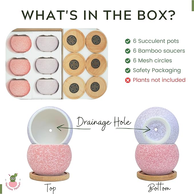 3 inch Ceramic pots for Plants, Small Succulent Pots Set with Drainage, 6 Pack Flower Pot for Indoor Plant, Planters for Little or mini Cactus 2 inches Plants (Pink/Purple)