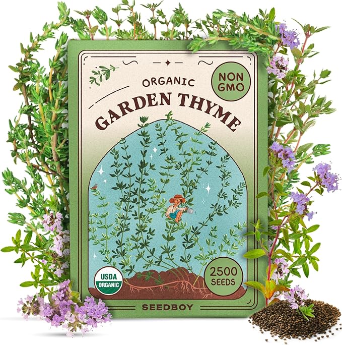 Seedboy Organic Thyme Seeds for Planting Indoor and Outdoor, Non-GMO and USDA Certified Herb Seed Packet for Hydroponic Garden Indoor or Planting Outdoors (Thyme)