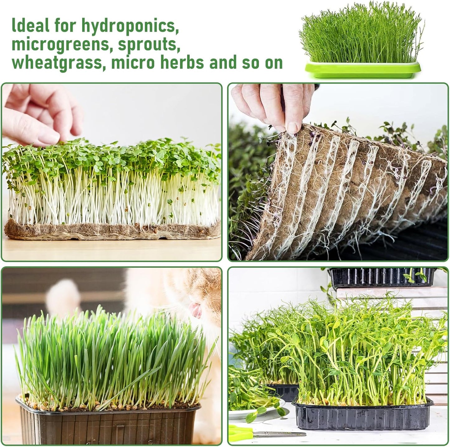 Legigo 6 Pack Jute Plant Grow Mat for Microgreens- 10" X 20" Hydroponic Grow Pads for 1020 Growing Trays, Hemp Fiber Mats Sprouting Pads Microgreens Growing Kit for Indoor Organic Wheatgrass Sprouts