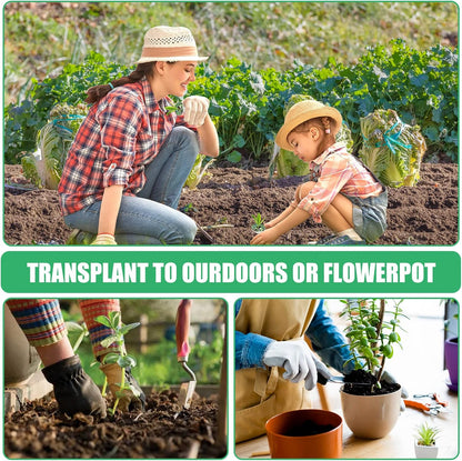 125pcs Hydroponic Seed Pods Kit, Grow Anything Kit Compatible with Hydroponics Supplies from All Brands, Hydroponic Indoor Garden Accessories with 50 Grow Sponges, 50 Pod Labels for Growing System