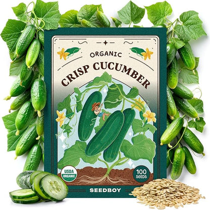 Seedboy Organic Cucumber Seeds for Planting Indoor and Outdoor, Non-GMO and USDA Certified Vegetable Seed Packet for Hydroponic Garden Indoor or Planting Outdoors (Marketmore Cucumber)