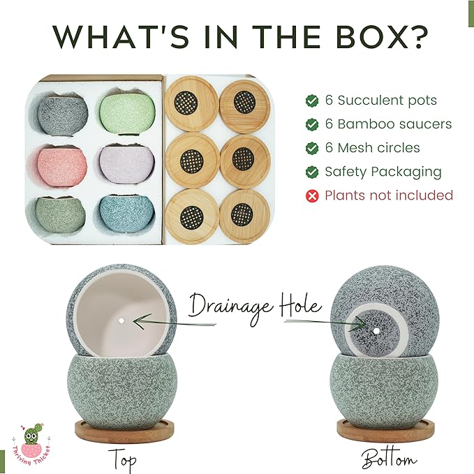 3 inch Ceramic pots for Plants, Small Succulent Pots Set with Drainage, 6 Pack Flower Pot for Indoor Plant, Planters for Little or mini Cactus 2 inches Plants
