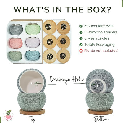 3 inch Ceramic pots for Plants, Small Succulent Pots Set with Drainage, 6 Pack Flower Pot for Indoor Plant, Planters for Little or mini Cactus 2 inches Plants