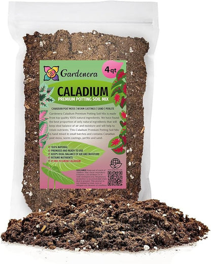 Gardenera Caladium Potting Mix - Promote Strong Roots and Captivating Patterns with Our Premium Blend - 4 Quart