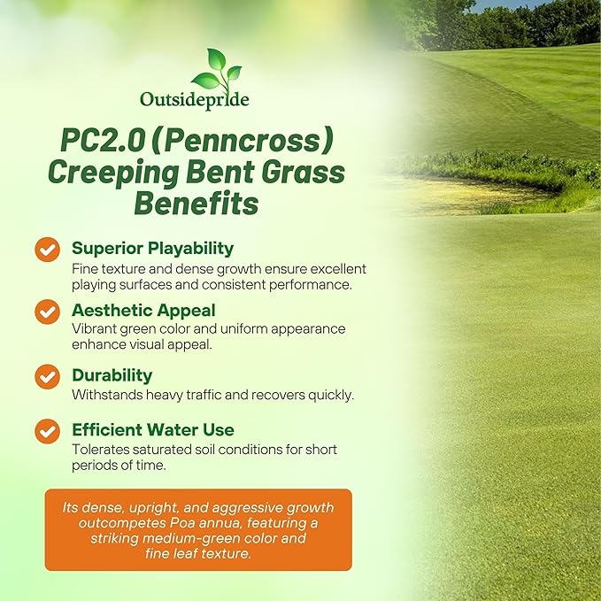 Outsidepride PC2.0 (Penncross) Creeping Bent Grass Seed – 25 lbs. Premium Golf Course Grade, Dense, Wear-Resistant Turf Grass Seeds for Tees, Putting Greens & Fairways, Ideal for High Traffic Areas