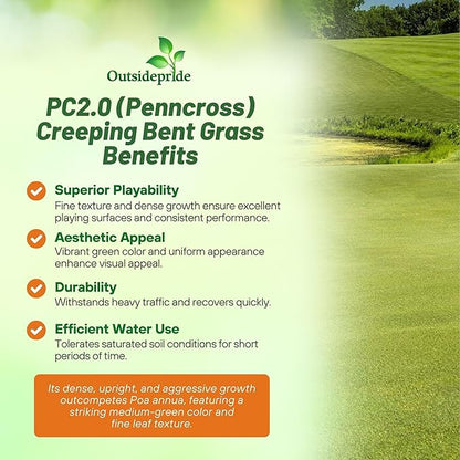 Outsidepride PC2.0 (Penncross) Creeping Bent Grass Seed – 25 lbs. Premium Golf Course Grade, Dense, Wear-Resistant Turf Grass Seeds for Tees, Putting Greens & Fairways, Ideal for High Traffic Areas
