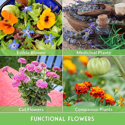 36 Variety Flower & Wildflower Seeds Garden Kit | Annual & Perennial Pollinator Mix with Cut Flowers for Bees, Butterflies & Bouquets | Non-GMO Heirloom Starter Pack – Survival Garden Seeds