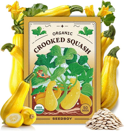 Seedboy Organic Summer Squash Seeds for Planting Indoor and Outdoor, Non-GMO and USDA Certified Vegetable Seed Packet for Hydroponic Garden Indoor or Planting Outdoors (Crookneck Squash)