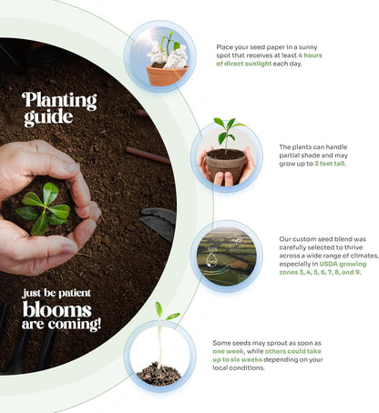 Wildflower Seed Paper - Set of 24 Pink Hummingbird-Shaped with Envelope and Planting Instruction, Writable & Plantable Gift for Plant Lover, Use for Funeral, Memorial, & Celebration of Life