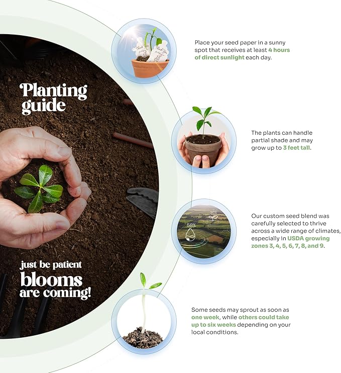 Wildflower Seed Paper - Set of 24 Purple Hummingbird-Shaped with Envelope and Planting Instruction, Writable & Plantable Gift for Plant Lover, Use for Funeral, Memorial, & Life Celebration