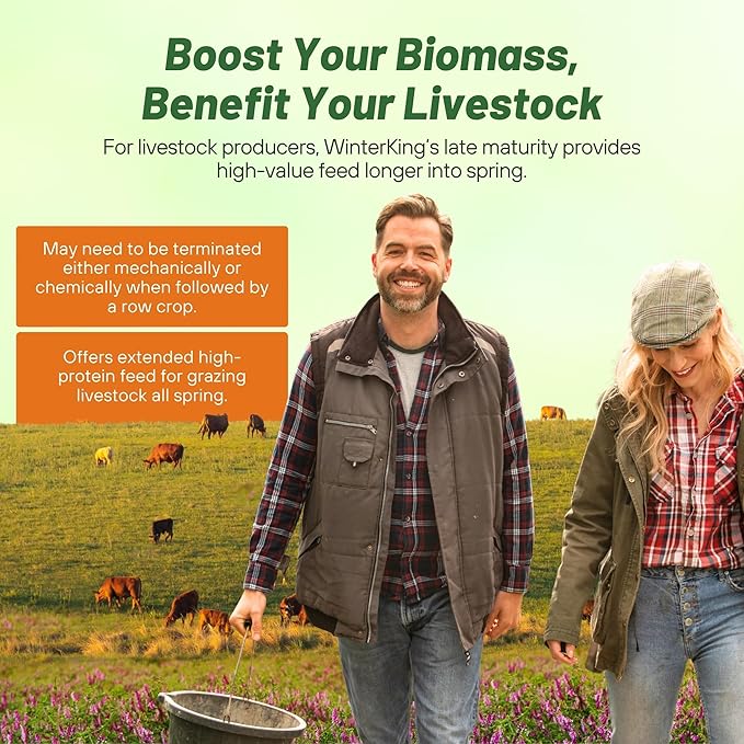 Outsidepride Hairy Vetch Cover Crop Seeds - 10 Lbs Cold Tolerant, Winter Hardy - Ideal for Soil Improvement, Green Pasture, Hay & Livestock Forage - Pollinator Friendly Garden Seeds, Ground Cover