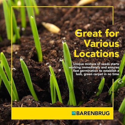Barenbrug Wonderlawn Perennial Ryegrass Grass Seed for Southern Lawns, Fast-Acting Durable Grass Seed Mix for All Weather Conditions, 3-lb. Bag