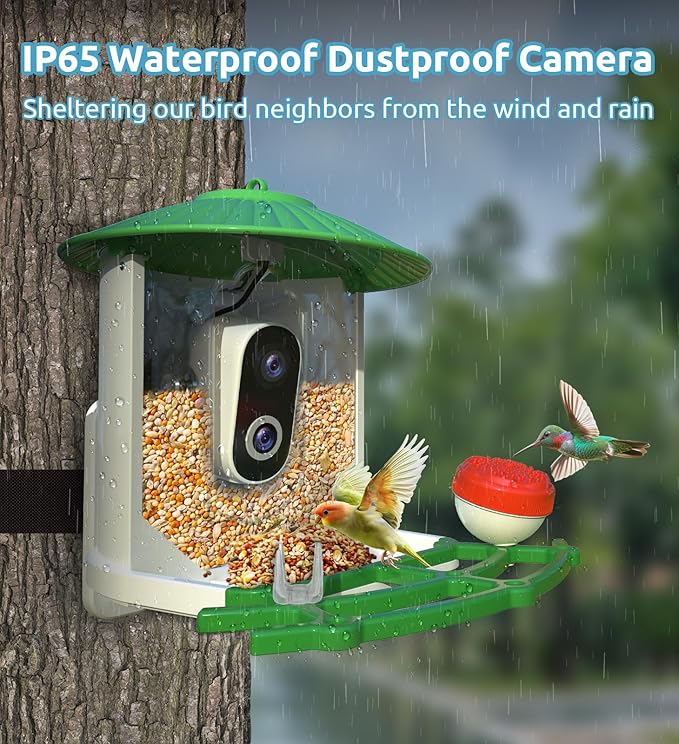 Smart Bird Feeder with Camera, 2K Live View AI Identify Birds Species with Solar Panel, Outdoors Birdhouse with Camera, Instant Arrival Alerts, Christmas Gifts for Bird Lovers