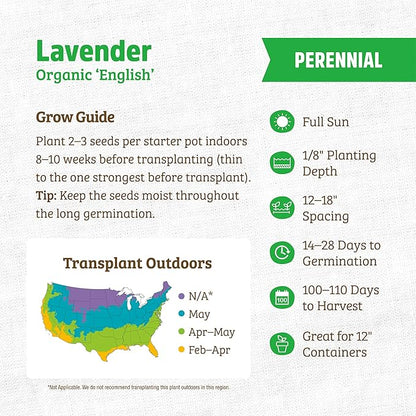 Back to The Roots 100% Organic Heirloom Seeds - Lavender Value Pack (90mg)