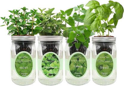 Hydroponic Herb Growing Kit Set, Self-Watering Mason Jar Herb Garden Starter Kit Indoor, Grow 4 Kinds of Herbs from Seeds (Catnip,Peppermint,Mint&Basil)
