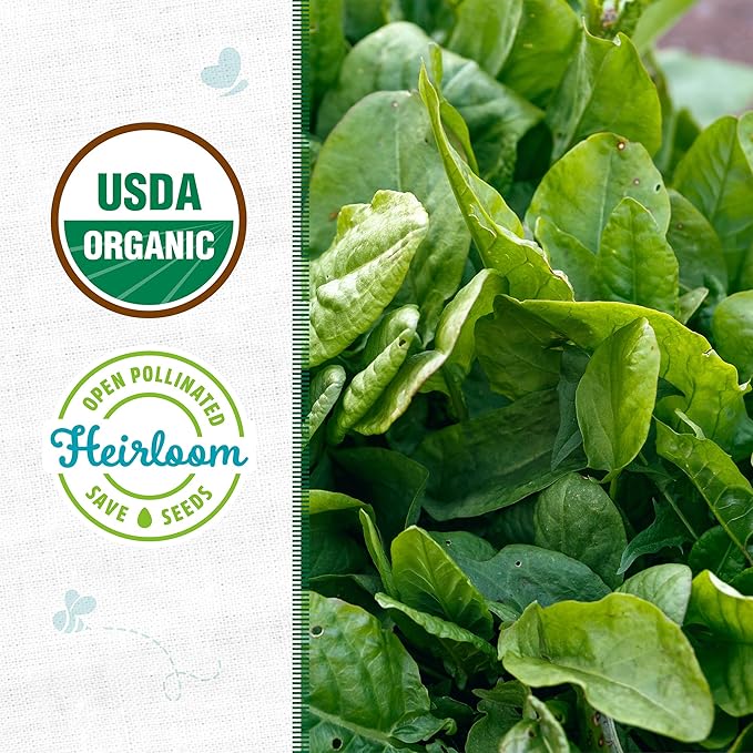 Back to The Roots 100% Organic Heirloom Seeds - Large Leaf Sorrel Value Pack (1.5g Total)