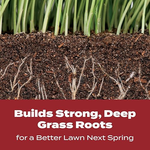 Scotts Turf Builder WinterGuard Fall Lawn Fertilizer for All Grass Types, 12,000 sq. ft., 32.3 lbs.