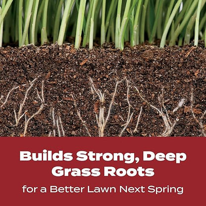 Scotts Turf Builder WinterGuard Fall Lawn Fertilizer for All Grass Types, 12,000 sq. ft., 32.3 lbs.