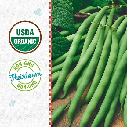 Back to The Roots 100% Organic Heirloom Seeds - Green Bean Value Pack (16.8g Total)