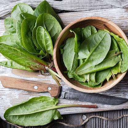 Back to The Roots 100% Organic Heirloom Seeds - Large Leaf Sorrel Value Pack (1.5g Total)