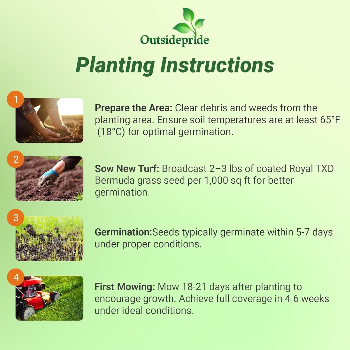 Outsidepride Royal TXD Bermuda Grass Seed Blend - 1 lb. Warm Season, Fast Growing Turf Grass Seeds: Heat & Drought Tolerant, Ideal for Home Lawns & Sports Fields, Dense & Lush Green Coverage