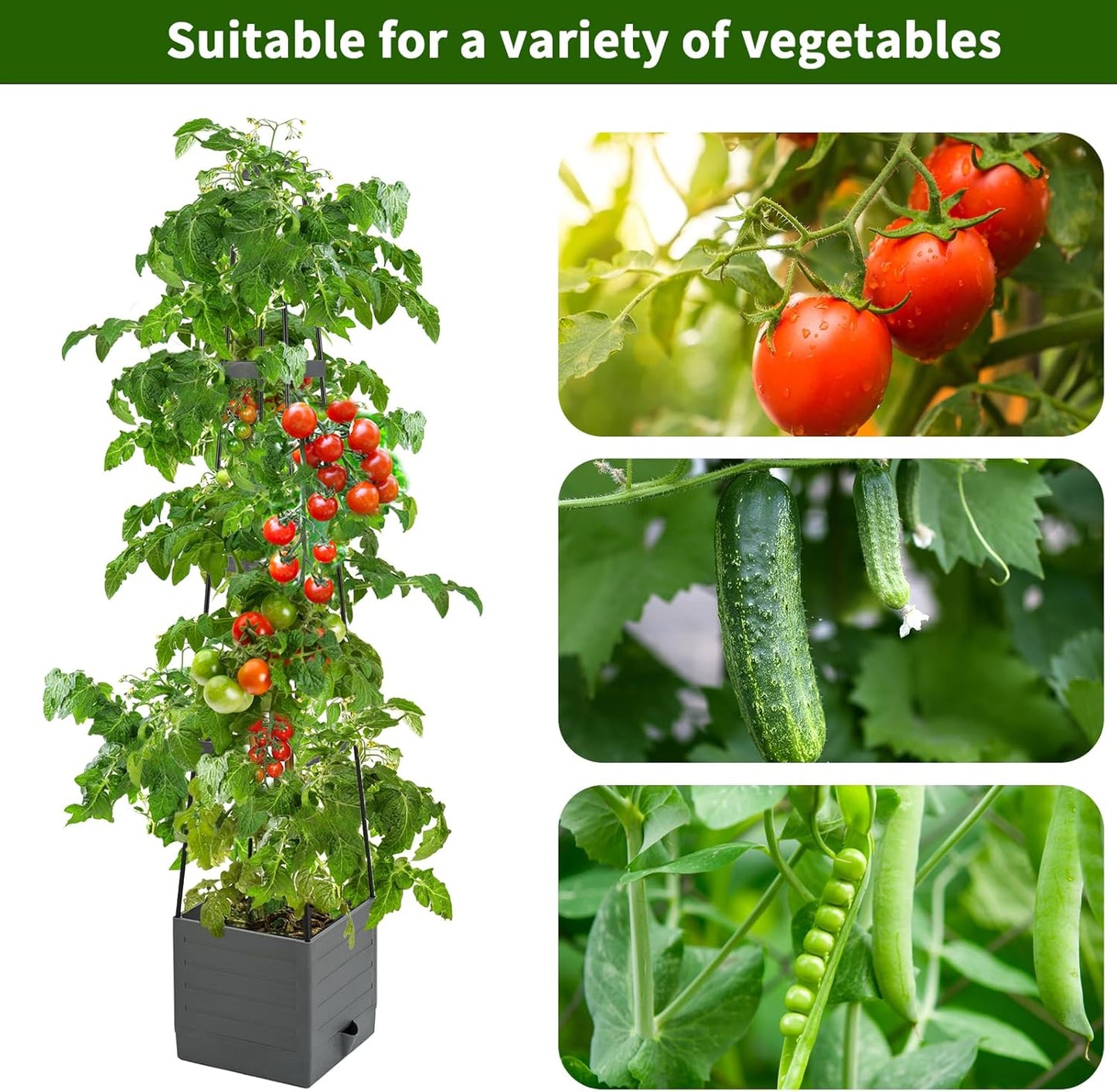 2 Pack Raised Garden Bed, Planter Boxes with Trellis 58.3'' Tomato Planters for Climbing Vine Vegetables Flowers Plants Self Watering Tomatoes Cage for Outdoor Patio Greenhouse
