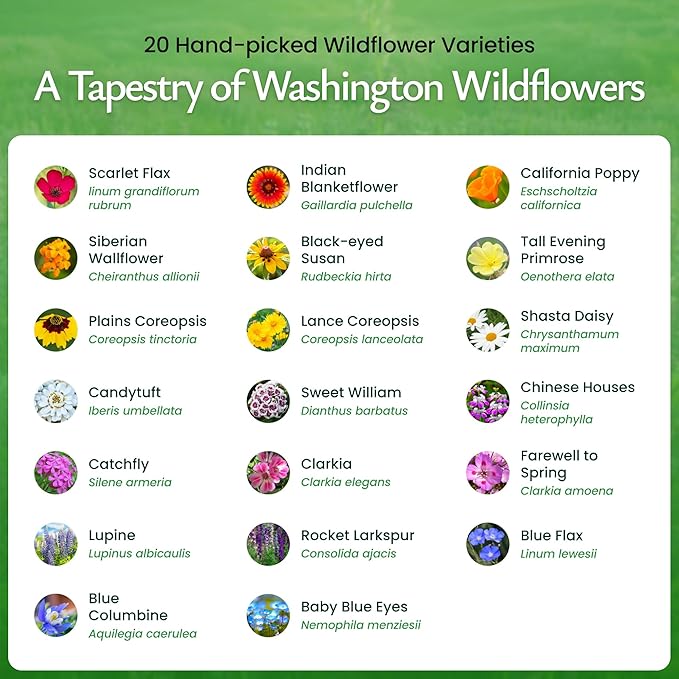 Created By Nature Washington Wildflower Seed Mix, 20 Flower Varieties, 60,000+ Seeds