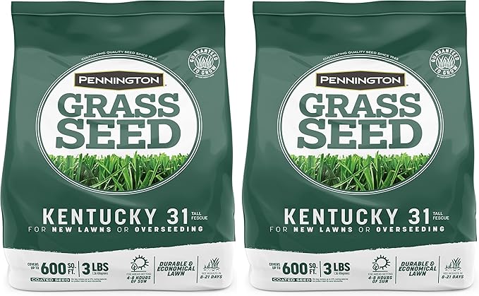 Pennington Kentucky 31 Tall Fescue Penkoted Grass Seed 3 lb, Green (Pack of 2)