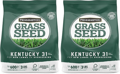 Pennington Kentucky 31 Tall Fescue Penkoted Grass Seed 3 lb, Green (Pack of 2)