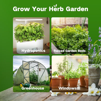 LUSH&DEW Medicinal Herb Apothecary Seed Chest, 40 Varieties 38,000+ Non-GMO Heirloom Seeds for Planting Herbs Hydroponics Windowsill, Gardening Gifts for Herbalists, Seed Kit for Herbal Tea Tinctures