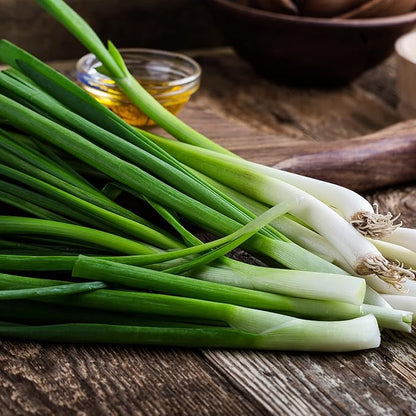 Back to The Roots 100% Organic Heirloom Seeds - Green Onion Value Pack (400mg Total)