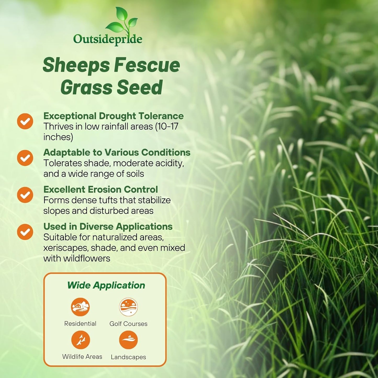 Outsidepride Sheeps Fine Fescue Grass Seed - 25 Lbs. Perennial Heat & Drought Tolerant Dense Green, Traffic-Resistant Turf for Shaded Environments w/OptiGrowth Coating for Seed Enhancement