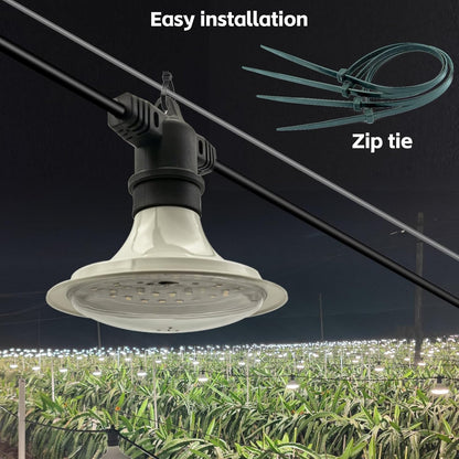 Outdoor LED Grow Lights, Waterproof String Grow Light, Full Spectrum Plant Growing Lights Greenhouse 44Ft Adjustable Cord 12 Lights