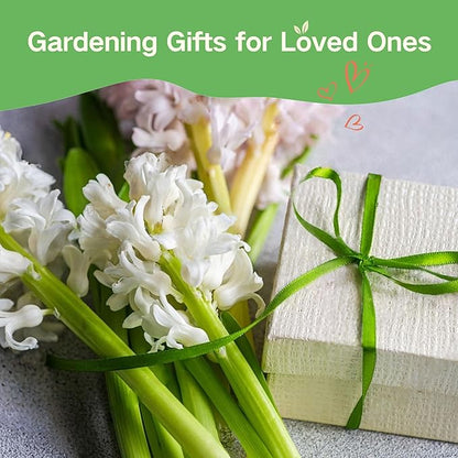 Lush&Dew Full Companion Plants Seed Bank, Gardening Gifts, 32 Varieties Non-GMO Heirloom Seeds for Planting Vegetables Herbs Flowers Fruits, Survival Seed Kit, Emergency Food Supplies