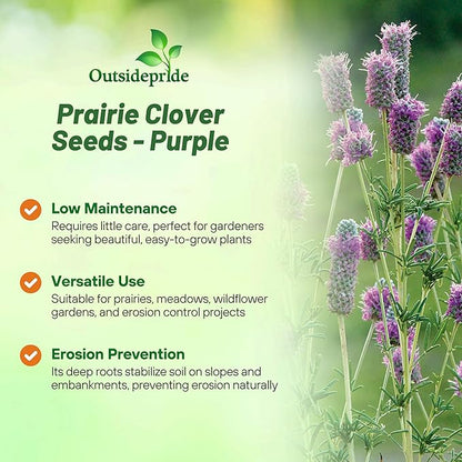 Outsidepride Purple Prairie Clover Seeds - 1000 Pcs Perennial Seeds for Planting, Easy to Grow, Drought & Heat Tolerant, High Protein Forage for Livestock, Ideal for Meadow Gardens, & Xeriscaping
