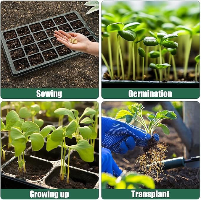 Seed Starter Tray with Dome-5 Sets 24XL Cell Seedling Trays(Total 120 Cells), Plant Germination Tray with Humidity Vented Lid and Base, Mini Propagator Plant Greenhouse for Seed Growing