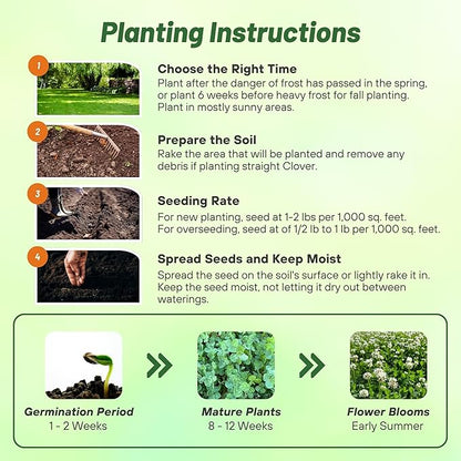 Outsidepride Perennial White Dutch Clover Seed - 1/4 lbs. Nitrocoated, Inoculated Clover Seeds for Lawn Alternative, Erosion Control, Food Plots, Ground Cover, & Pasture Mixtures in USDA Zones 3-10