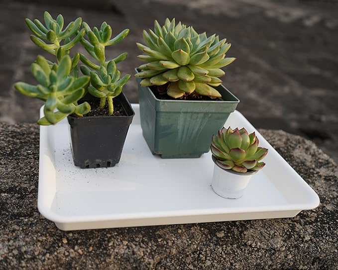4 Pack Plant Saucer Tray, Plant Growing Nursery Trays, Heavy Sturdy Seed Starting Trays, Plant Starter Trays for Indoors No Holes, Seed Starter Growing Tray (17.5"x10.6", Creamy White)