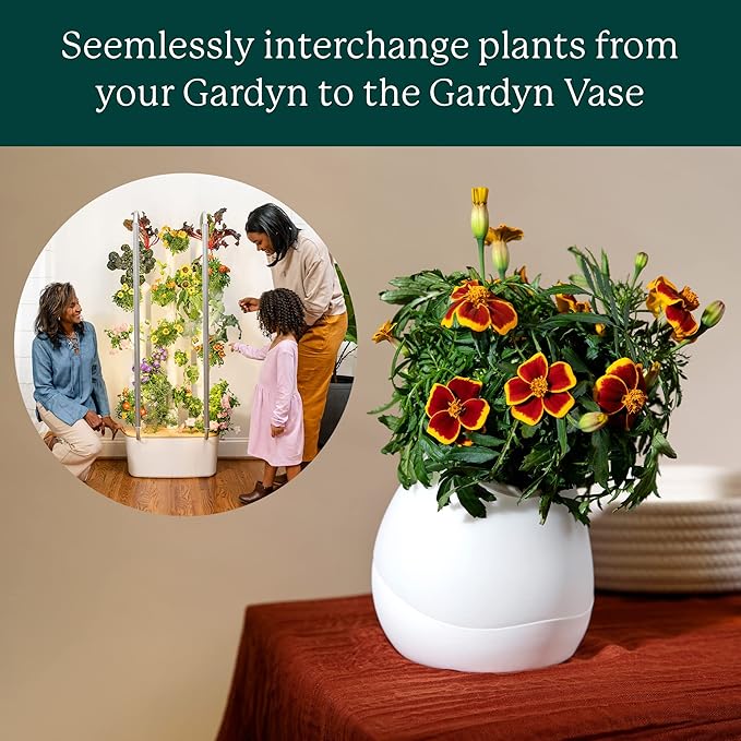 Gardyn Vase Complete Kit - Sage Green | Designed for use with Gardyn Hydroponics Growing System Kits & Vertical Garden Hydroponic Gardens | Bring Gardyn’s Indoor Plants to All Areas of Your Home