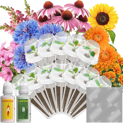 LYKOCLEAN Flower Seed Pods for AeroGarden, Ahopegarden, iDOO MUFGA Hydroponics Growing System Indoor Gardening, 400+ Seeds, Dwarf Sunflower Bambino, French Marigold, Dahlia, Dwarf Petunia(12-Pods)