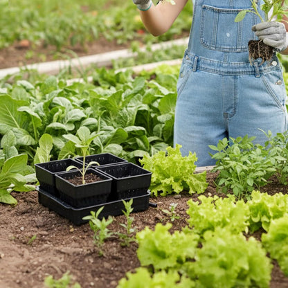 Seed Starter Pots with Tray, 8 Cell Reusable Square Nursery Pots for Seedlings with Drainage Holes, Indoor Outdoor Plastic Gardening Containers for Herbs, Flowers & Vegetables (Black)