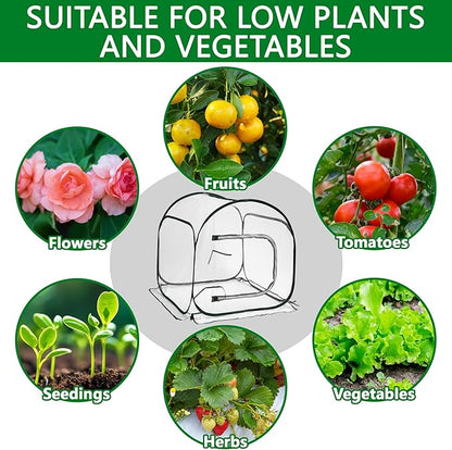 DECOHS 31.5" x 31.5" x 31.5" Mini PVC Pop Up Greenhouse, Transparent Pop Up Grow Greenhouse Plant Cover, Small Gardening Plant Flower Warm House for Cold Frost Protection Indoor & Outdoor