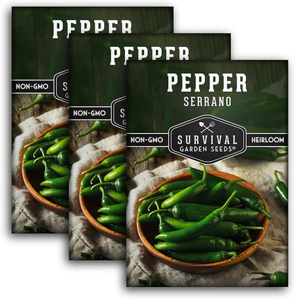 Mexican Serrano Pepper Seeds for Planting | Fresh Hot Chili & Green Hot Pepper Seeds – Heirloom Non-GMO Variety for Sauce, Salsa & Pickling – Survival Garden Seeds (3 Packs)