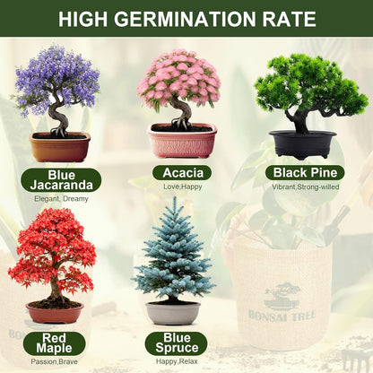 5 Pack Bonsai Tree Kit - 5 Seeds Growing Plant Bonsai Tree Live Kit for Beginners, Easy to Grow Complete Indoor Garden Starter Kits with Wooden Box & Tools, Christmas Gifts for Men Women Plant Lover