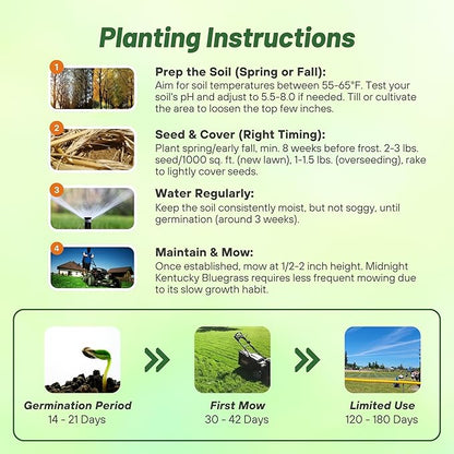 Outsidepride Midnight Kentucky Bluegrass Seed - 25 Lbs. Cold & Drought Tolerant, Sun-Loving Lawn Grass Seed, w/High Traffic Tolerance & Deep Root System, OptiGrowth Coated for Better Establishment