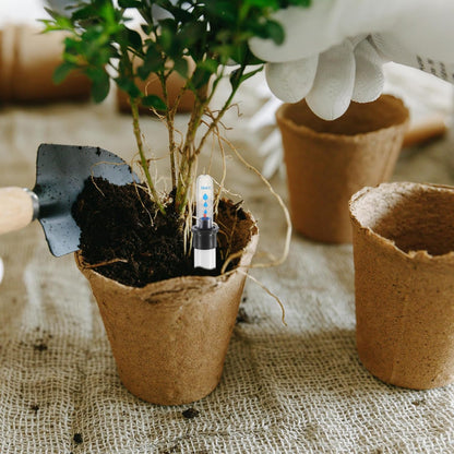 DOITOOL Flower Pot Water Level Indicator: 4PCS Water Shortage Reminder Level Gauge Moisture Moisture Indicator for Plants - 6.5 inches