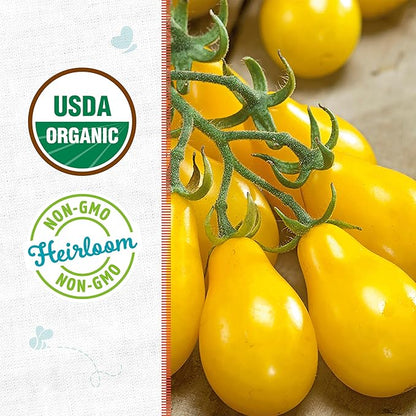 Back to The Roots 100% Organic Heirloom Seeds - Golden Pear Tomato Value Pack (200mg Total)